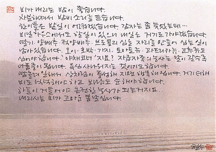 - 내리시는 봄비가 고마운...