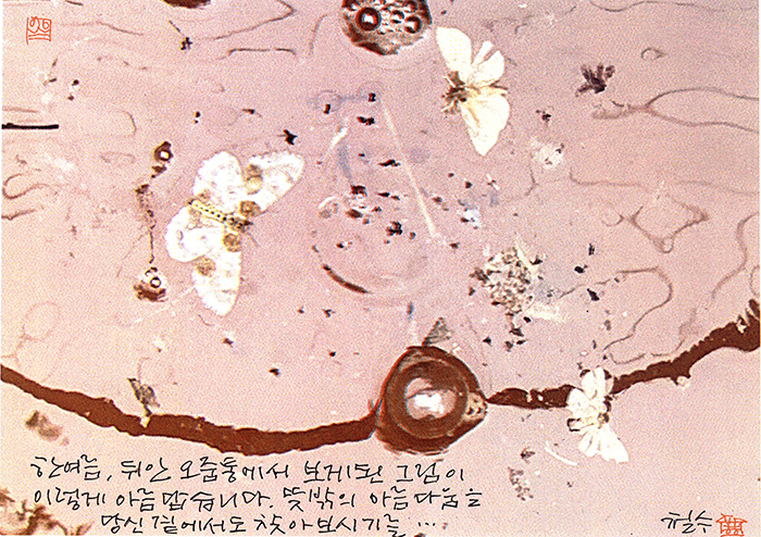 - 한여름, 뒤안 오줌통에서...