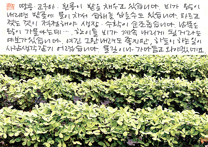 - 물길이나 가다듬고 와야...