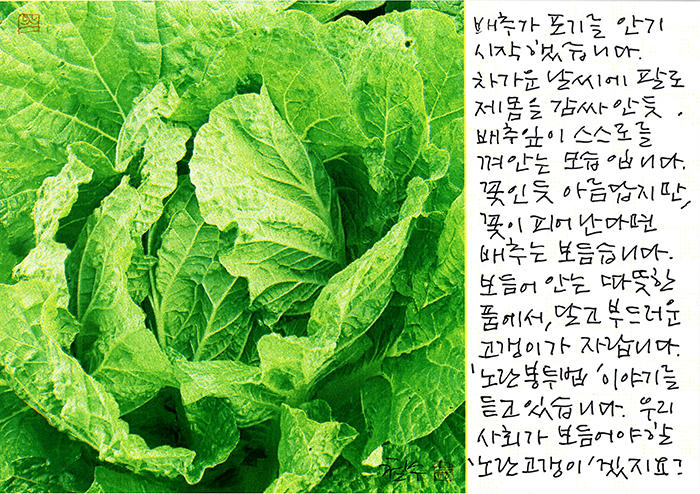 - 스스로를 껴안는...