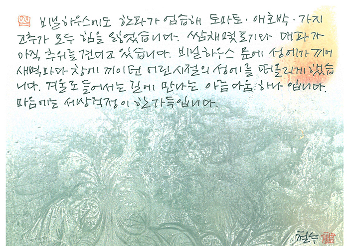 - 비닐하우스 문에 성에가...