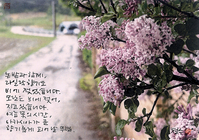 - 여름꽃의 시간...