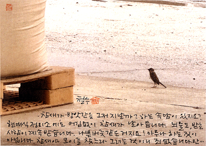 - 참새가 방앗간을...