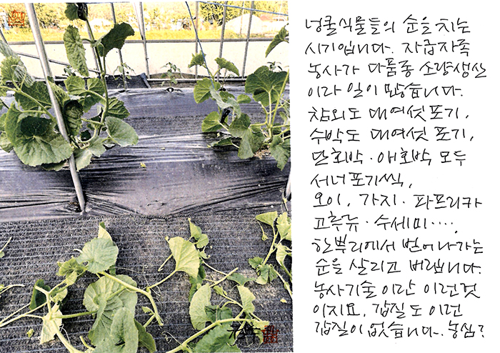 - 갑질도, 이런 갑질이 없습니다.
