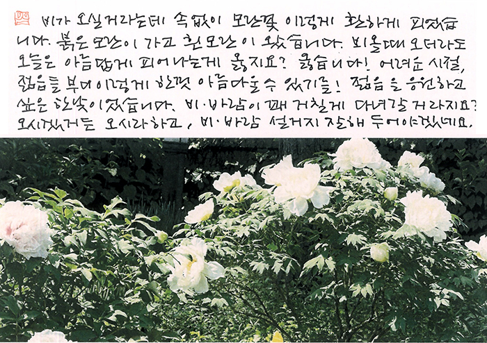 - 비올때 오더라도...