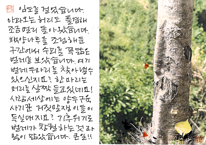 - 기후위기로 벌레가 창궐...