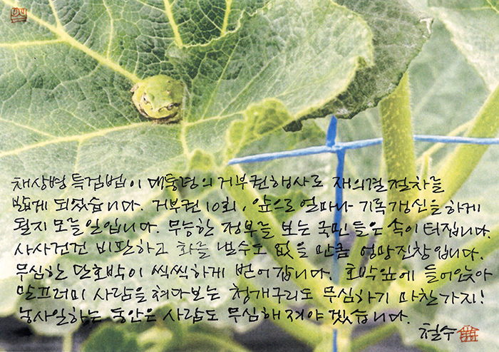 - 속이 터집니다.