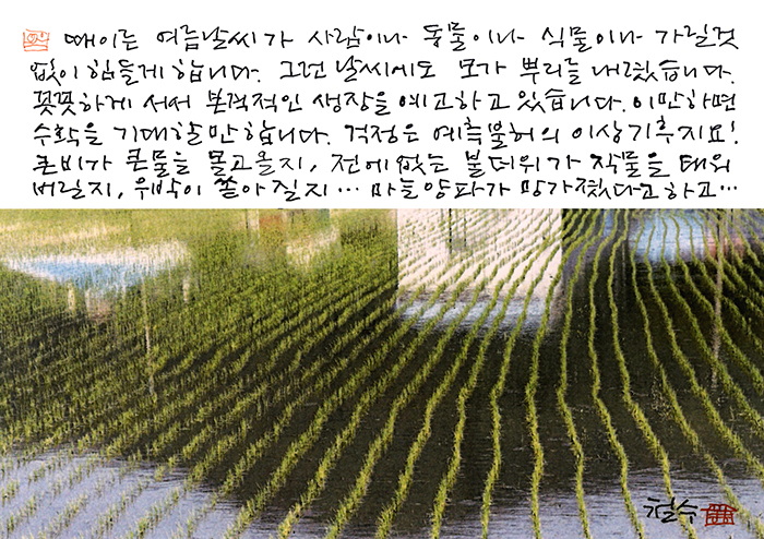 - 걱정은 예측불허의 이상기후...