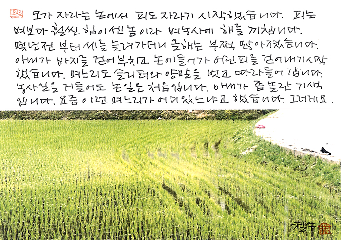 - 피는 힘이 센 놈이라...
