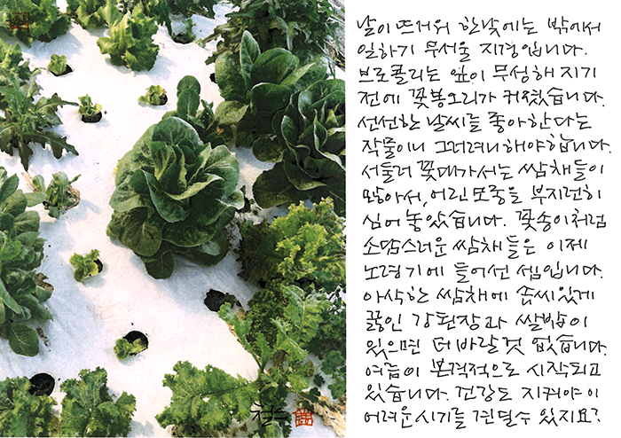 - 날이 뜨거워서...