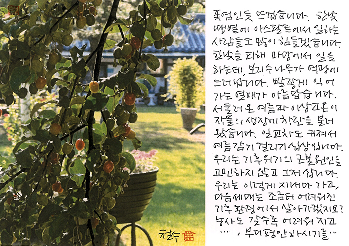 - 한낮 땡볕에...