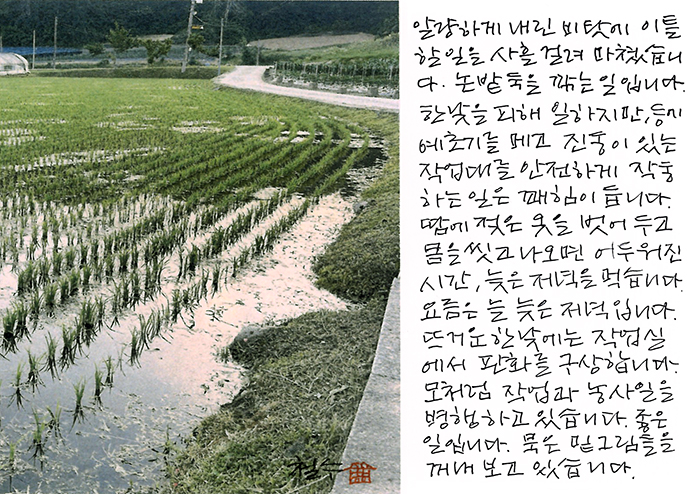 - 모처럼 작업과 농사일을 함께...