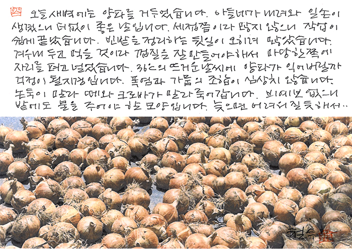 - 폭염과 가뭄의 조합이...