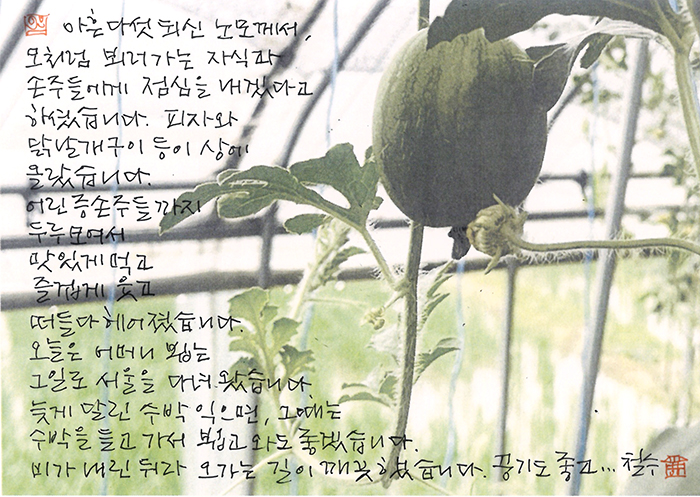 - 노모께서 점심을 내겠다고...