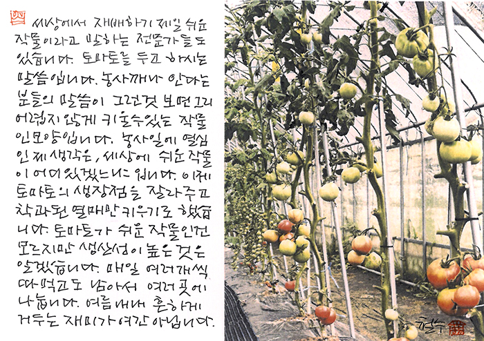 - 흔하게 거두는 재미가...
