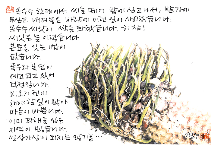 - 씨앗은 늘 이렇습니다.