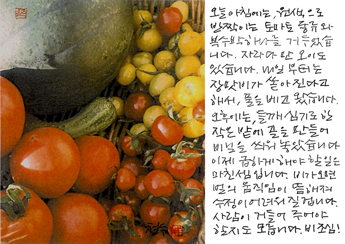 - 장맛비가 쏟아진다니...
