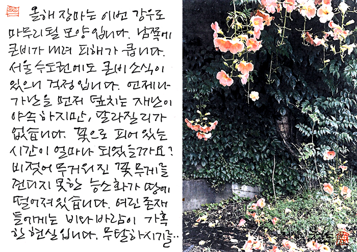 - 여린 존재들에게는, 비바람이...