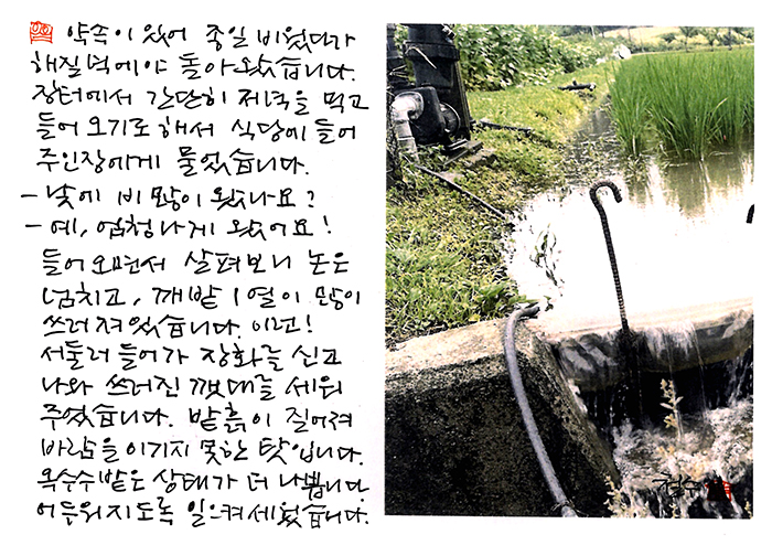 -  낮에 비 많이 왔어요?