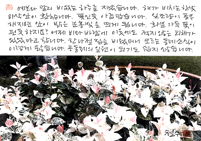 - 예보와 달리 비 없는 하루...