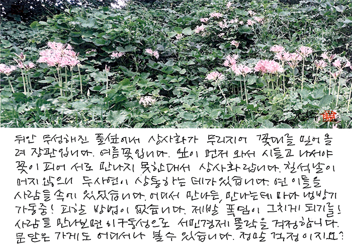- 정말 걱정이지요?
