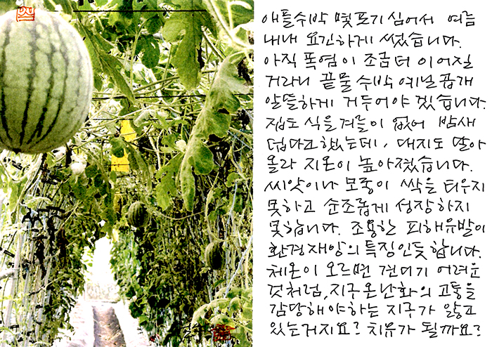- 지구가 앓고 있는 거지요?
