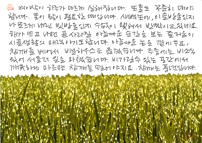 - 곧 사라질 아름다운 순간을...