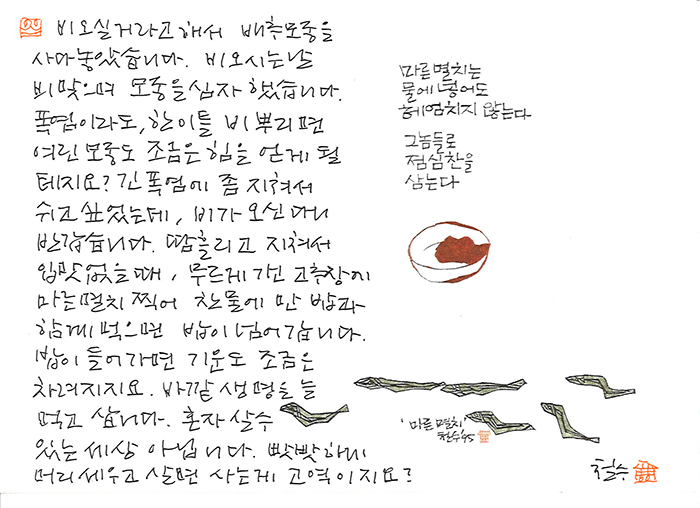 - 비 오실 거라고 해서...