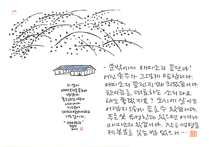 - 매미 우는 소리 들린다!