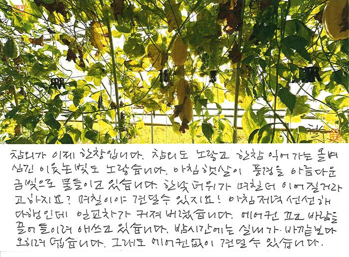 - 며칠이야 견딜수 있지요!
