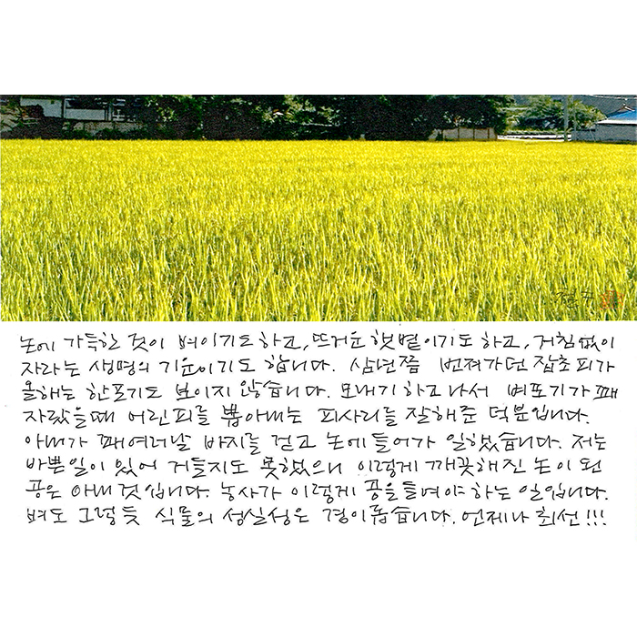 - 언제나 최선!!!