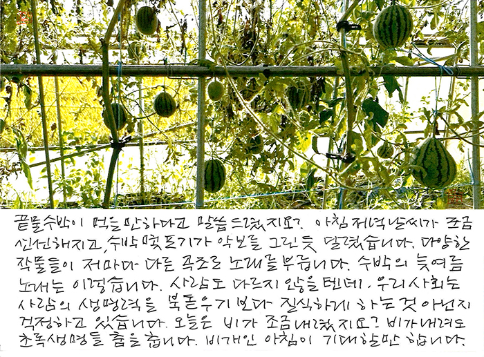 - 저마다 다른 곡조로...