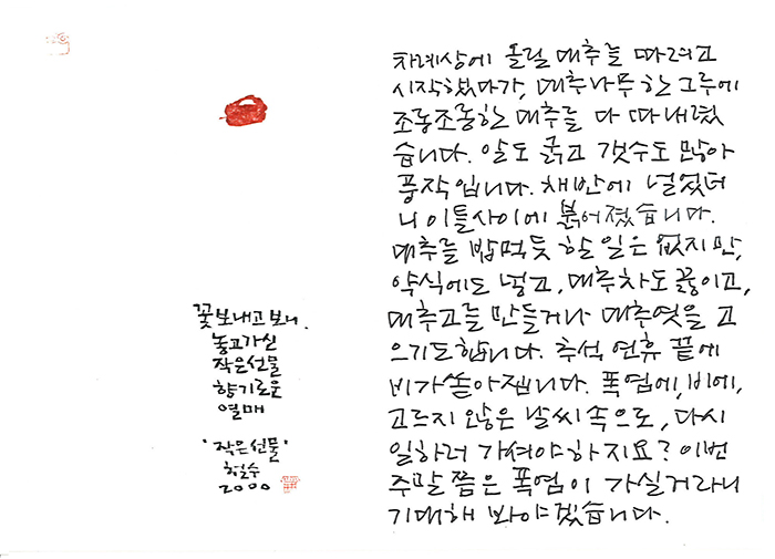 - 고르지 않은 날씨 속으로...