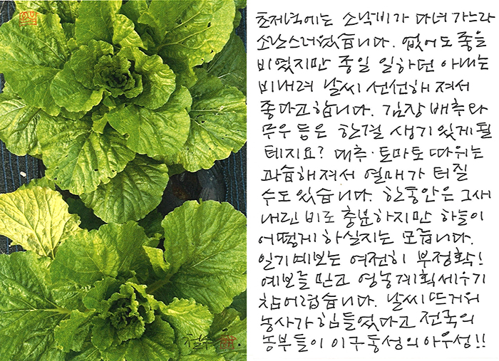- 소낙비가 쏟아지느라...
