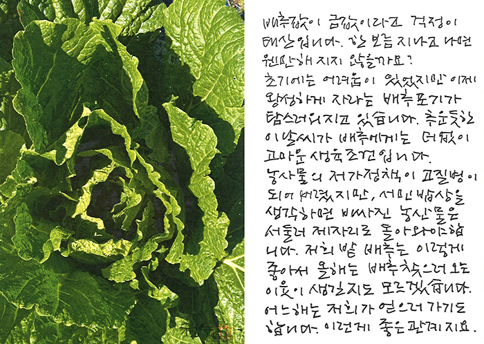 - 이런 게 좋은 관계...
