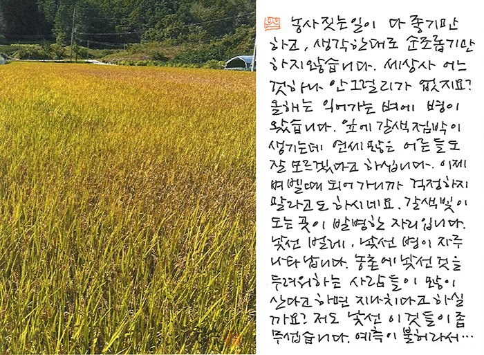 - 낯선 벌레, 낯선 병이...