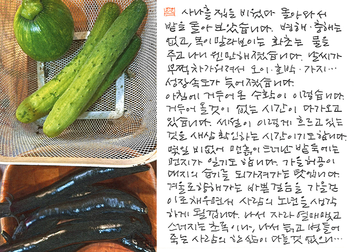 - 세월이 이렇게 흐르고...