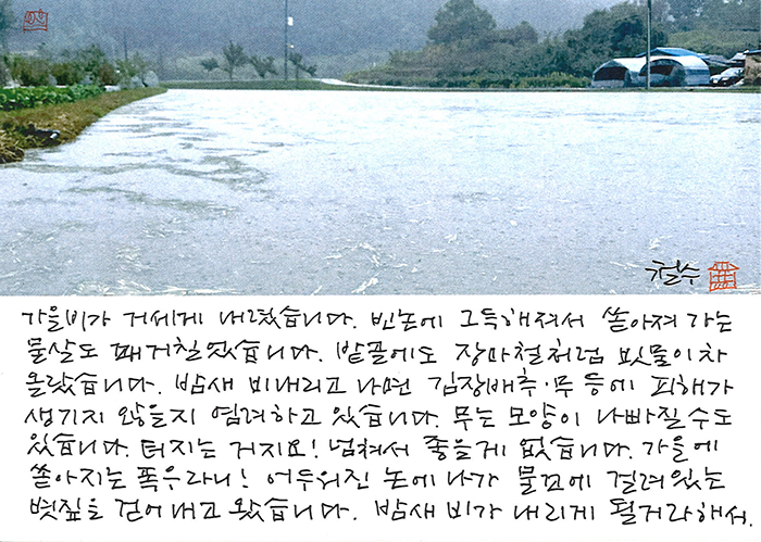 - 가을 폭우라니...