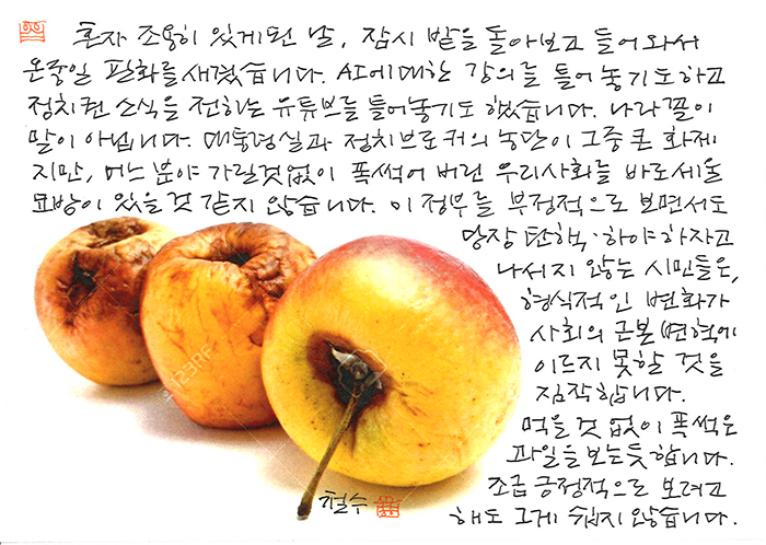 - 먹을 것 없이 폭 썩은...