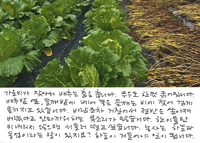 - 하늘이 거들어야 일이...