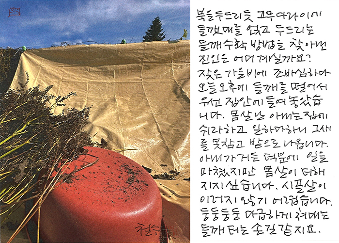- 북을 두드리듯...