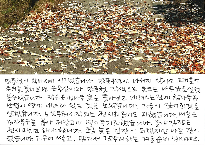 - 가을이 깊어진 것을...
