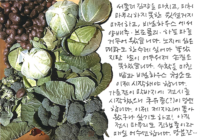 - 이제 제자리에 돌아왔구나...