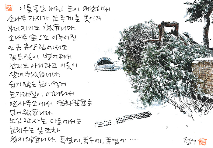 - 이틀 내린 눈이 대단해서...