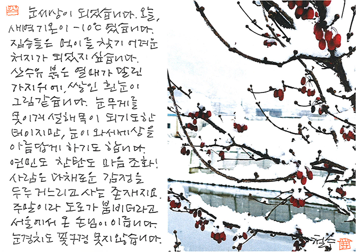 - 꽃구경 못지 않습니다.