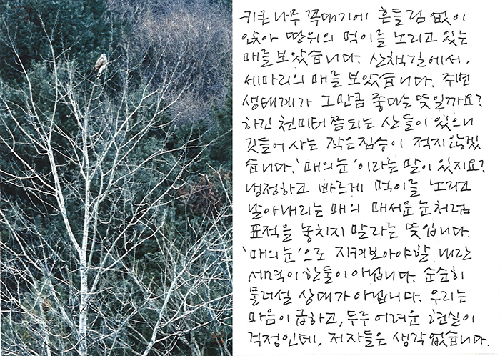- '매의 눈'으로 지켜보아야 할...