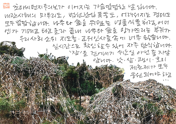 - '잡'을 걷어내기 쉬운 일이...