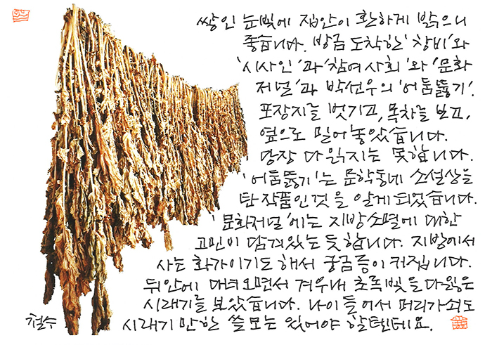 - 시래기만한 쓸모는 있어야....