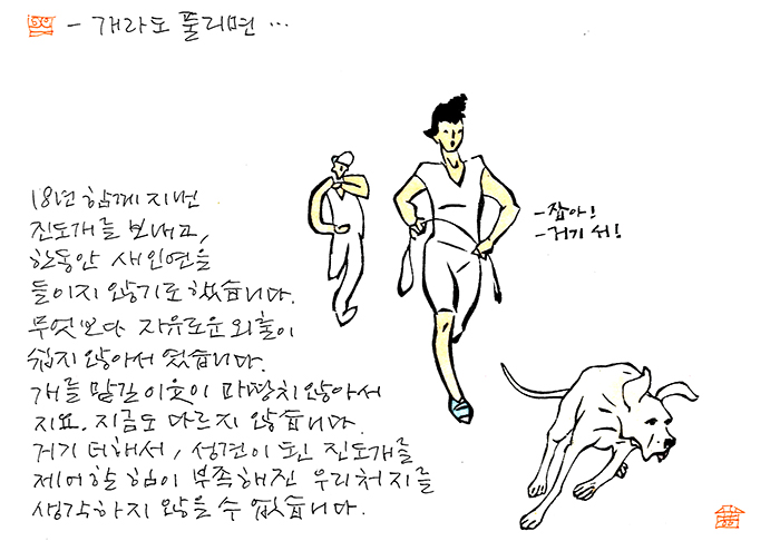 - 개라도 풀리면...