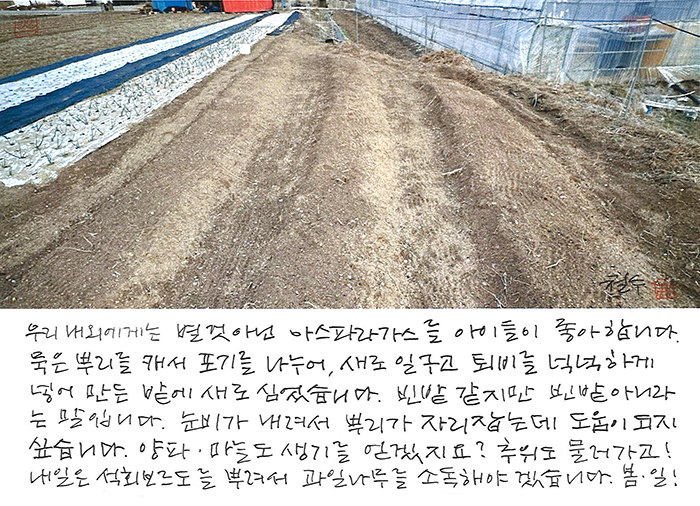 - 추위도 물러가고, 봄. 일!